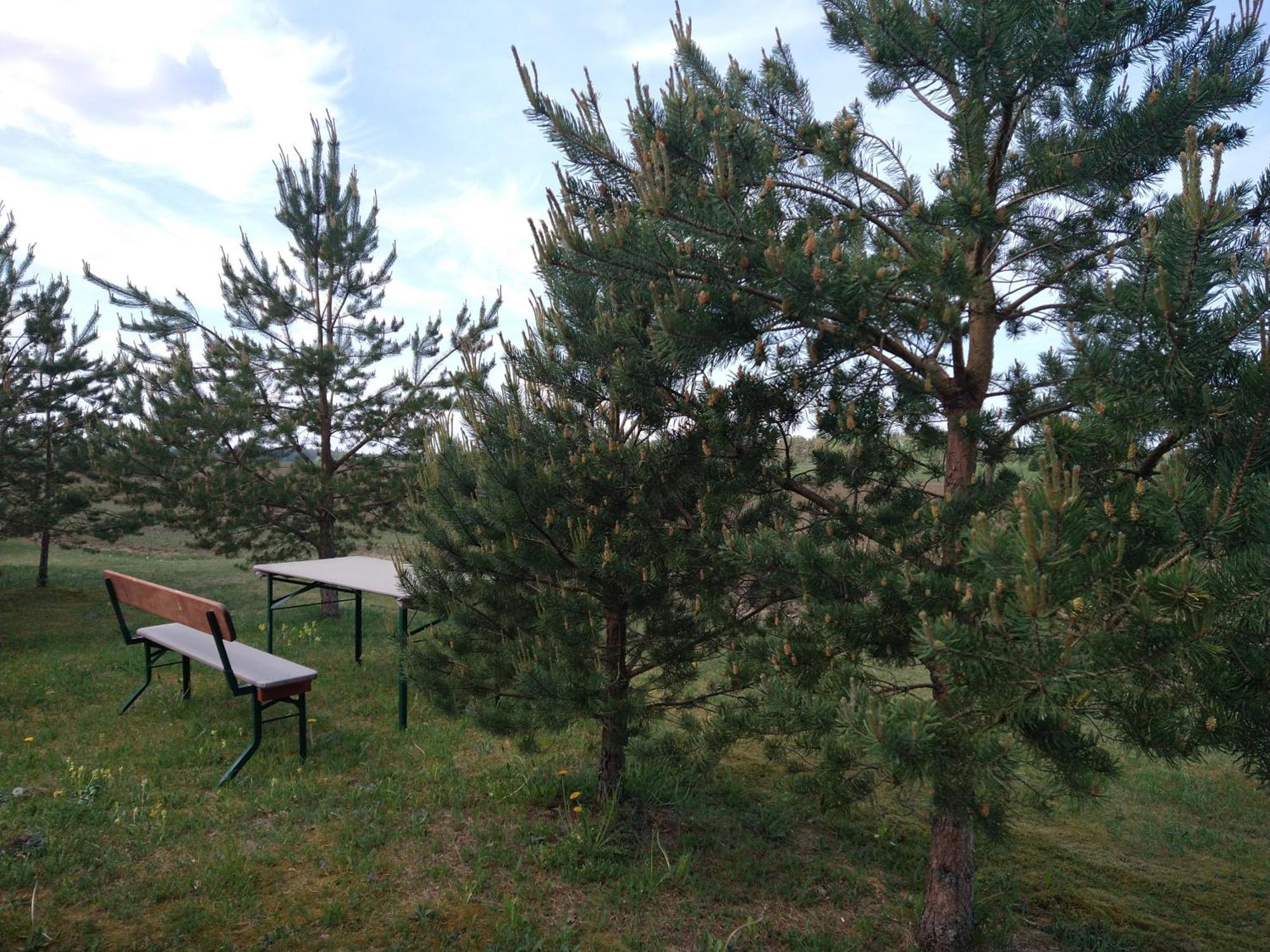 Lahemaa Kohvikann B & B, Caravan Park Палмсе Экстерьер фото
